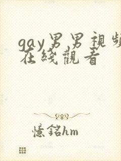 gay男男视频在线观看