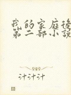 我的家庭后宫2第二部小说封面