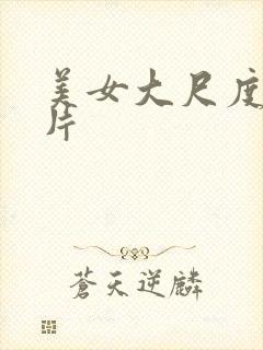 美女大尺度伦理片封面