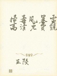 扫毒风暴电视剧高清免费观看全集