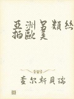 亚洲另类丝袜偷拍欧美