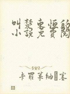 叫楚东恒的官场小说免费阅读