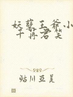 妖孽王爷小刁妃 千苒君笑