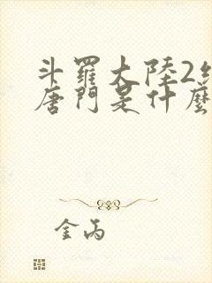 斗罗大陆2绝世唐门是什么