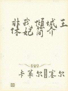 非我倾城王爷要休妃简介封面