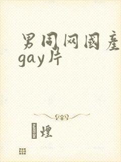 男同网国产原创gay片封面