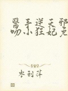 医手逆天邪王毒吻小狂妃免费阅读