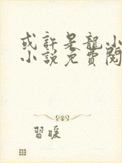 或许是龙小姐吗小说免费阅读封面