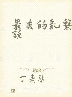 最爽的乱系列小说