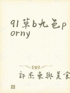 91草b九色porny