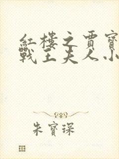 红楼之贾宝玉大战王夫人小说