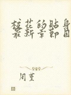 校花的贴身高手最新章节目录封面