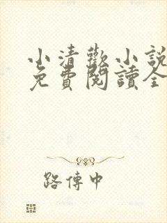 小清欢小说全文免费阅读全文