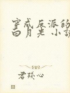 穿成反派的短命白月光 小说