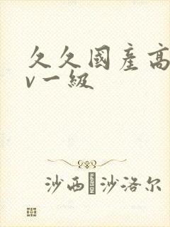 久久国产高清av一级封面