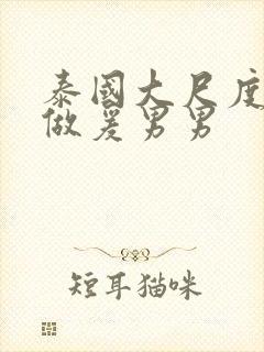 泰国大尺度床戏做爰男男