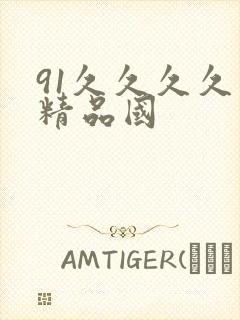 91久久久久久精品国封面