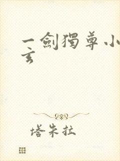 一剑独尊小说叶玄