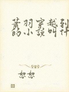 萧羽穿越到斗破的小说叫什么