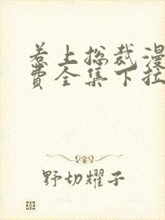 惹上总裁漫画免费全集下拉式