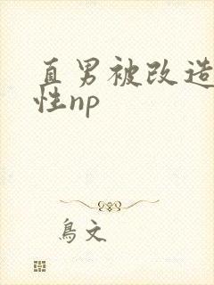 直男被改造成双性np