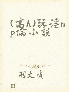 (高h)玩淫np伦小说