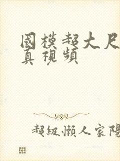 国模超大尺度写真视频