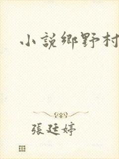 小说乡野村情