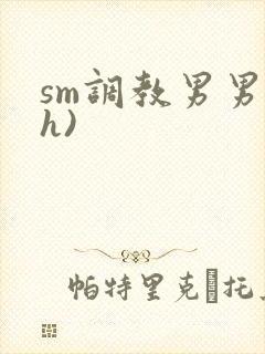 sm调教男男(h)