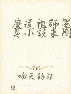 魔道祖师墨香铜臭小说未删减版