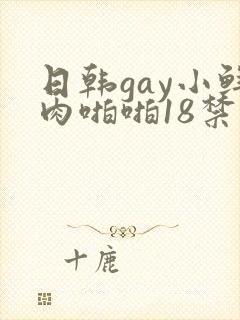 日韩gay小鲜肉啪啪18禁