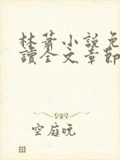 林萧小说免费阅读全文章节封面