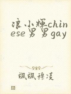 浪小辉chinese男男gay