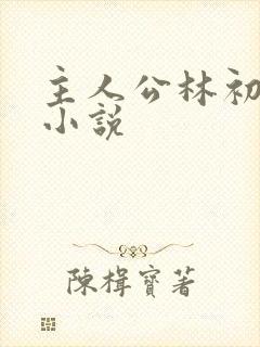 主人公林初夏的小说