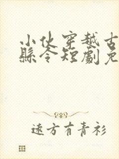 小伙穿越古代当县令短剧免费观看封面