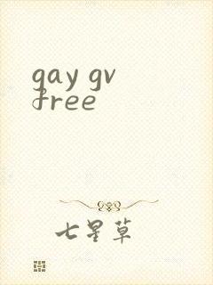 gay gv free封面