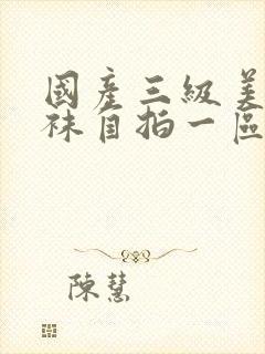 国产三级美腿丝袜自拍一区