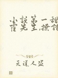 小说第一甜妻:霍先生,撩错了免费阅读