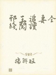 邪王追妻全文在线阅读