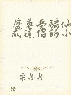 魔尊受骗仙尊攻成道侣的小说封面