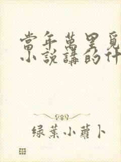 当年万里觅封侯小说讲的什么