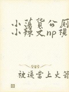 小荡货公厕h文小辣文np视频