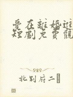 爱在离婚进行时短剧免费观看全集