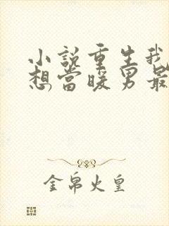 小说重生我真没想当暖男最新章节