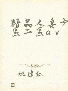 精品人妻少妇一区二区aⅴ封面