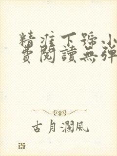 精准下号小说免费阅读无弹窗