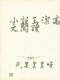 小说王洁高义全文阅读