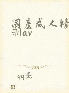 国产成人精品亚洲av