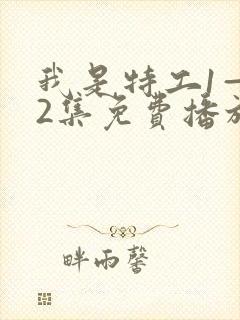 我是特工1—42集免费播放电视剧封面