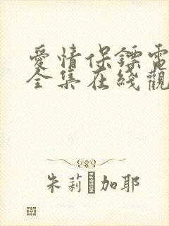 爱情保镖电视剧全集在线观看免费